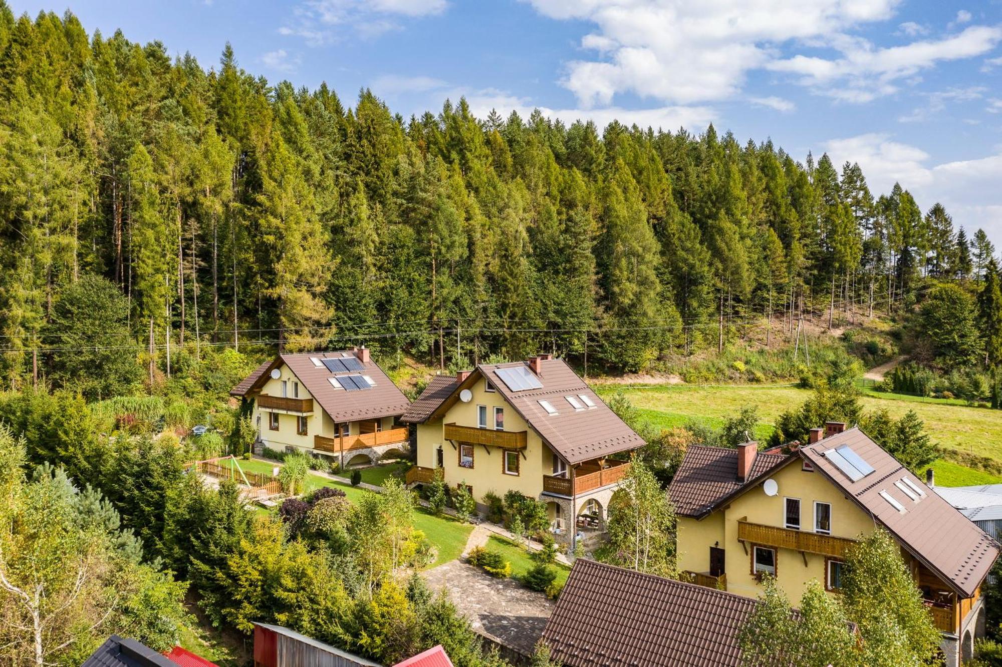 Apartamenty Zielona Owieczka Niedzica Zamek Εξωτερικό φωτογραφία